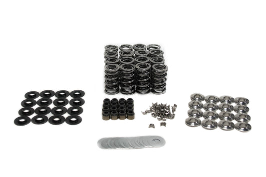 BTR .660" PLATINUM LT4 VALVE SPRING KIT BRONZE GUIDES - SK008/BZ