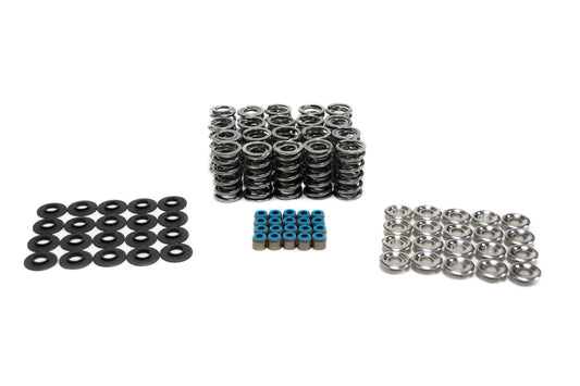 BTR PLATINUM GEN I DODGE VIPER DUAL SPRING KIT - .660" LIFT - SK010