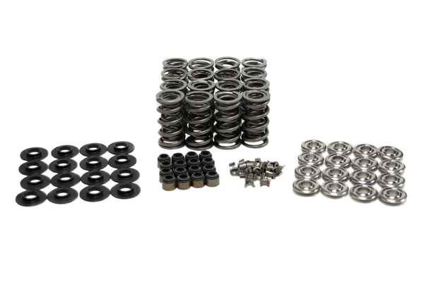 Platinum Plus Dual Spring Kits