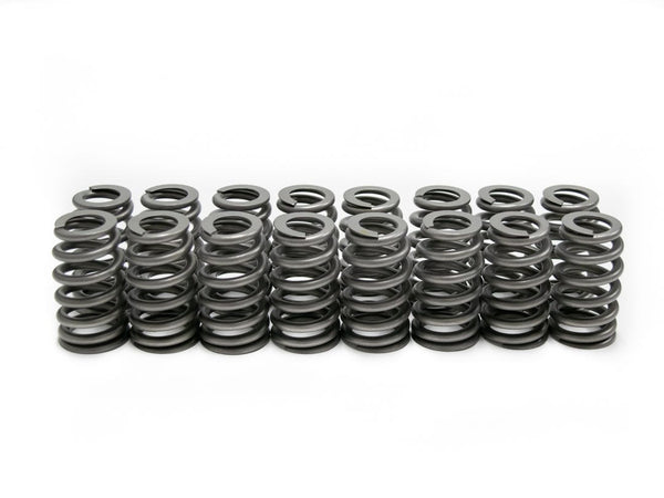 LS6 Beehive Springs